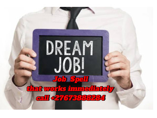 Powerful Job Spell to help you get your Dream Job call +27673888284 .